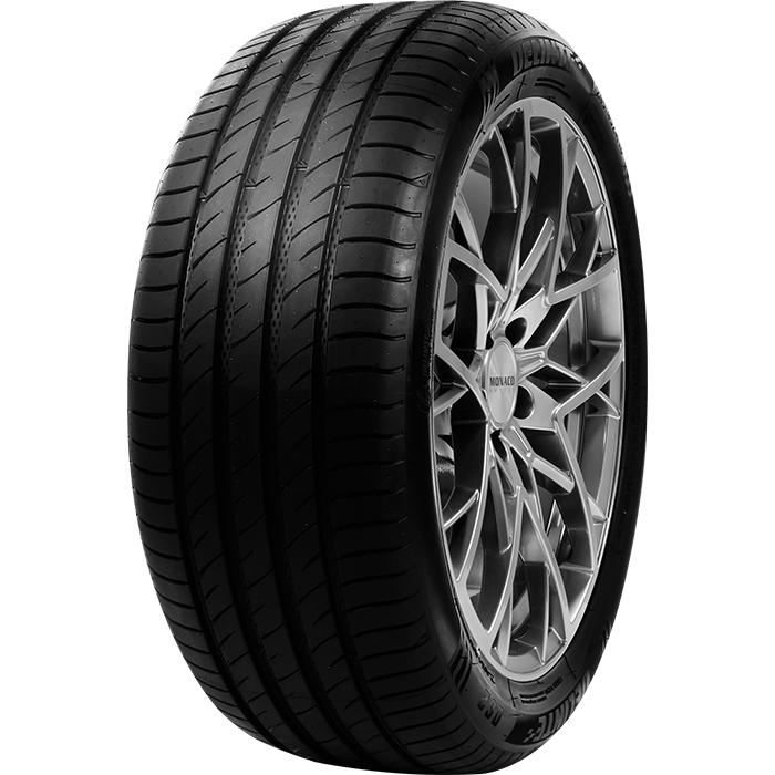 205/55R16 91V DELINTE DS 2 XL