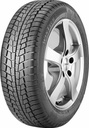 275/45R20 110V VIKING WINTECH NEWGEN (CONTINENTAL)